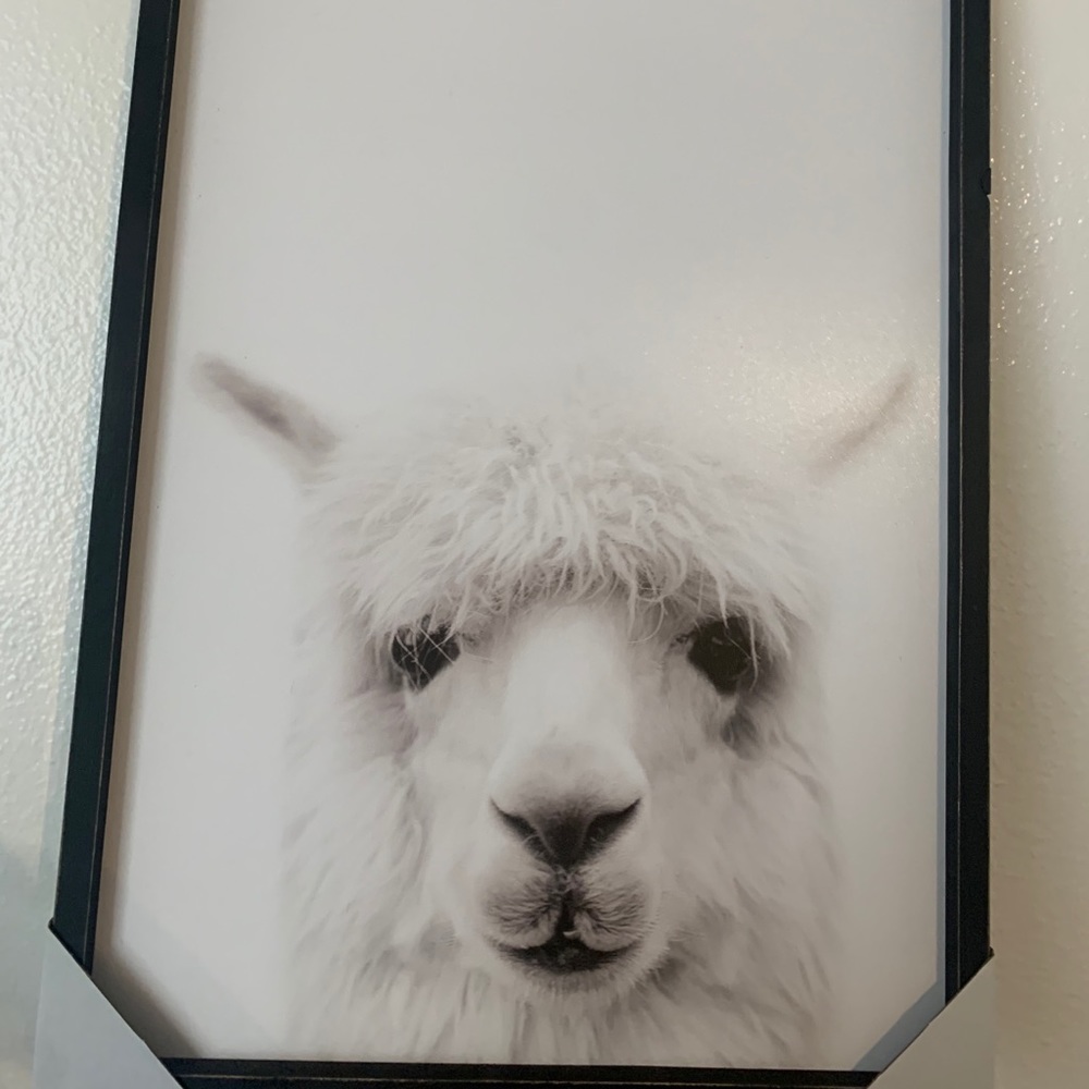 Wall art